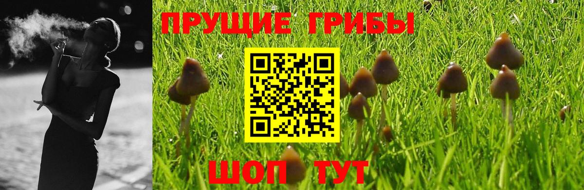 Саки  Псилоцибиновые грибы прущие грибы  закладка  Вход с VPN 
