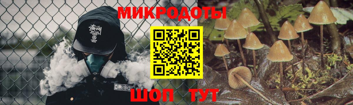 Псилоцибиновые грибы мицелий Саки